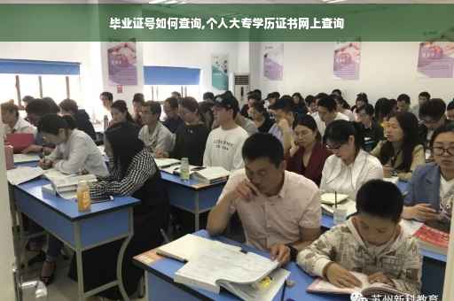 毕业证号如何查询,个人大专学历证书网上查询