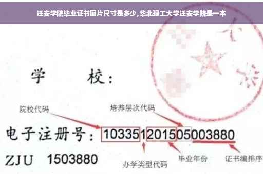 迁安学院毕业证书图片尺寸是多少,华北理工大学迁安学院是一本