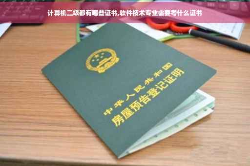 计算机二级都有哪些证书,软件技术专业需要考什么证书