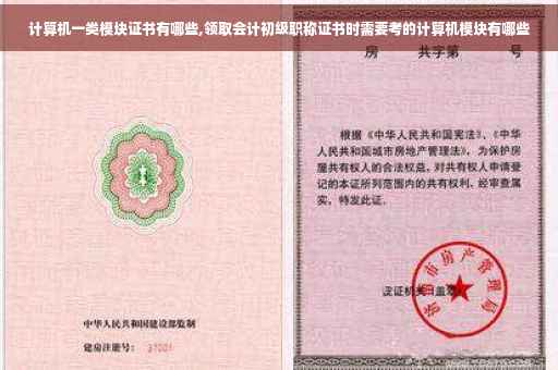 计算机一类模块证书有哪些,领取会计初级职称证书时需要考的计算机模块有哪些