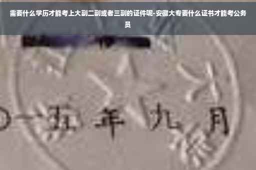 需要什么学历才能考上大副二副或者三副的证件呢-安徽大专要什么证书才能考公务员