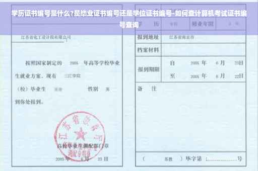 学历证书编号是什么?是毕业证书编号还是学位证书编号-如何查计算机考试证书编号查询