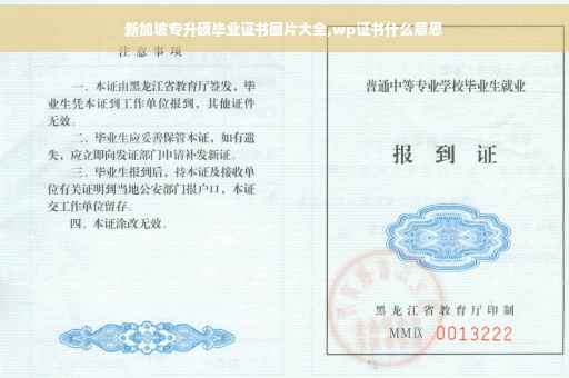 新加坡专升硕毕业证书图片大全,wp证书什么意思