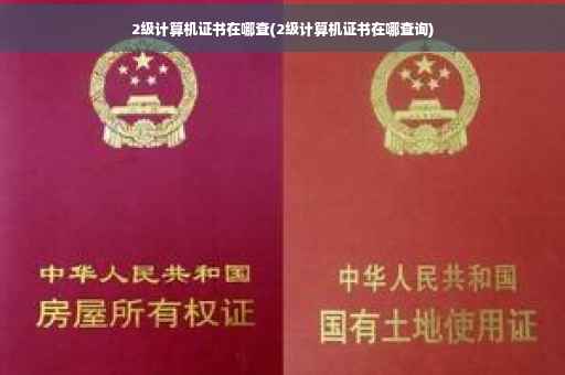 2级计算机证书在哪查(2级计算机证书在哪查询)