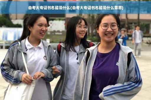 自考大专证书名称是什么(自考大专证书名称是什么意思) 自考大专证书名称是什么(自考大专证书名称是什么意思)