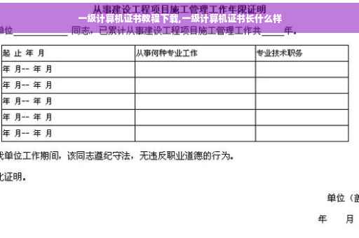 一级计算机证书教程下载,一级计算机证书长什么样
