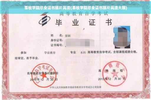 畜牧学院毕业证书图片高清(畜牧学院毕业证书图片高清大图)