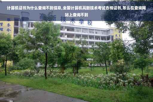 计算机证书为什么查询不到信息,全国计算机高新技术考试合格证书,怎么在查询网站上查询不到