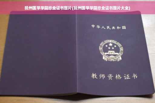 抚州医学学院毕业证书图片(抚州医学学院毕业证书图片大全)