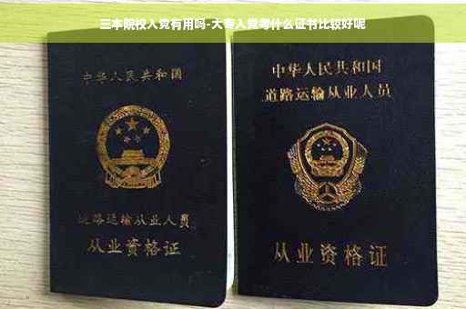 三本院校入党有用吗-大专入党考什么证书比较好呢