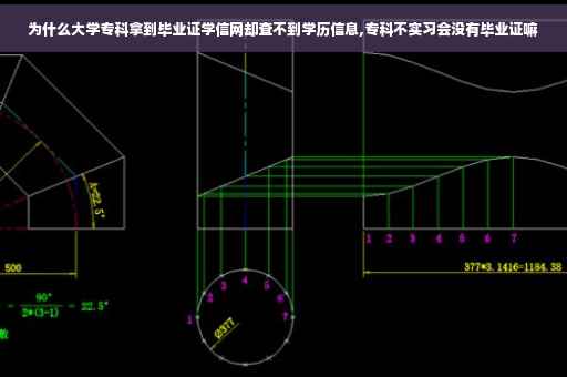为什么大学专科拿到毕业证学信网却查不到学历信息,专科不实习会没有毕业证嘛