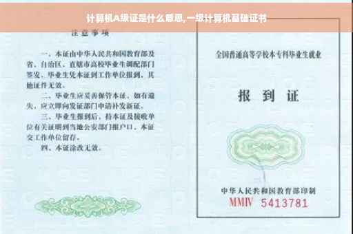 计算机A级证是什么意思,一级计算机基础证书