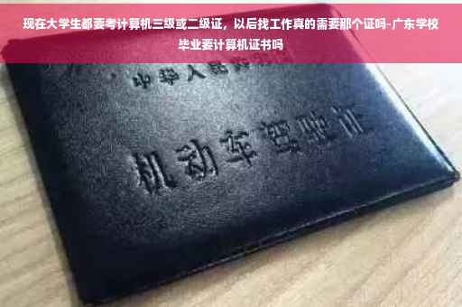 现在大学生都要考计算机三级或二级证，以后找工作真的需要那个证吗-广东学校毕业要计算机证书吗