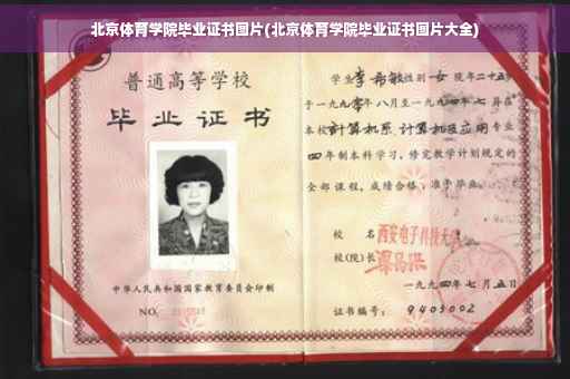 北京体育学院毕业证书图片(北京体育学院毕业证书图片大全) 北京体育学院毕业证书图片(北京体育学院毕业证书图片大全)