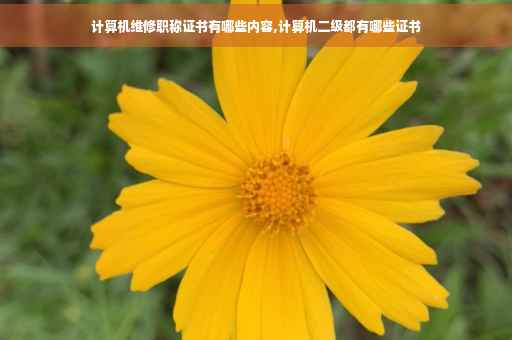 计算机维修职称证书有哪些内容,计算机二级都有哪些证书