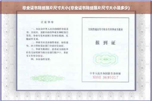 毕业证书贴纸图片尺寸大小(毕业证书贴纸图片尺寸大小是多少)