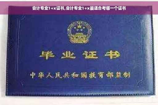 会计专业1+x证书,会计专业1+x最适合考哪一个证书