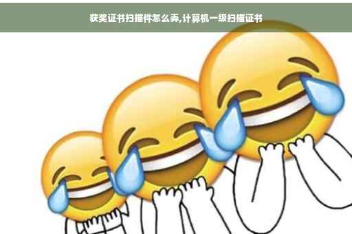 获奖证书扫描件怎么弄,计算机一级扫描证书