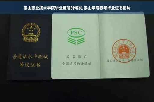 泰山职业技术学院毕业证啥时候发,泰山学院春考毕业证书图片
