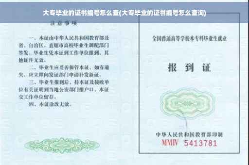 大专毕业的证书编号怎么查(大专毕业的证书编号怎么查询)