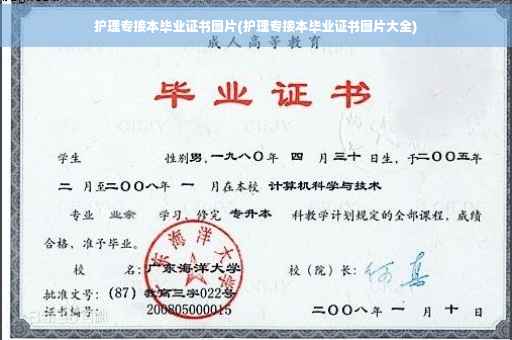 护理专接本毕业证书图片(护理专接本毕业证书图片大全)