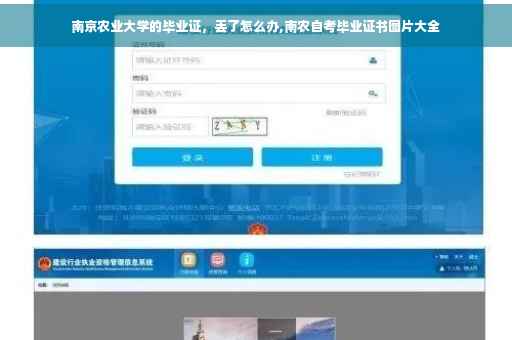 南京农业大学的毕业证，丢了怎么办,南农自考毕业证书图片大全