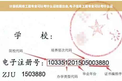计算机网络工程专业可以考什么证挂靠出去,电子信息工程专业可以考什么证