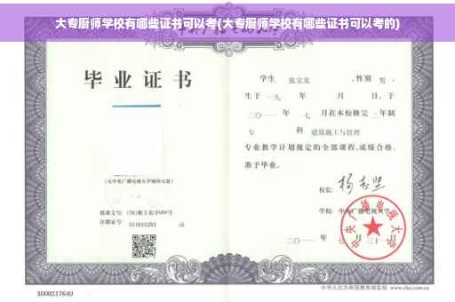 大专厨师学校有哪些证书可以考(大专厨师学校有哪些证书可以考的)