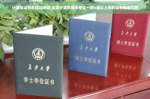 计算机证书名称叫啥啊,全国计算机等级考试一级b或以上级别证书有哪几种
