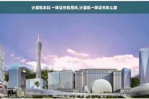计算机本科 一级证书有用吗,计算机一级证书怎么查
