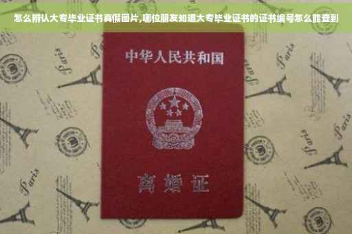 怎么辨认大专毕业证书真假图片,哪位朋友知道大专毕业证书的证书编号怎么能查到
