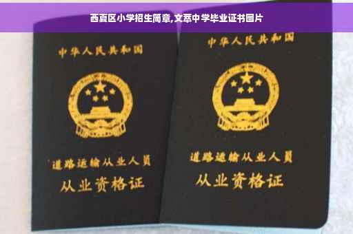 西夏区小学招生简章,文萃中学毕业证书图片