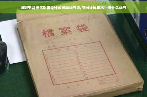 国家电网考试都需要什么等级证书呢,电网计算机水平考什么证书