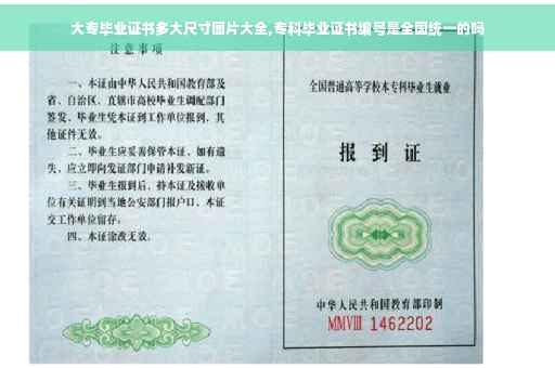 大专毕业证书多大尺寸图片大全,专科毕业证书编号是全国统一的吗