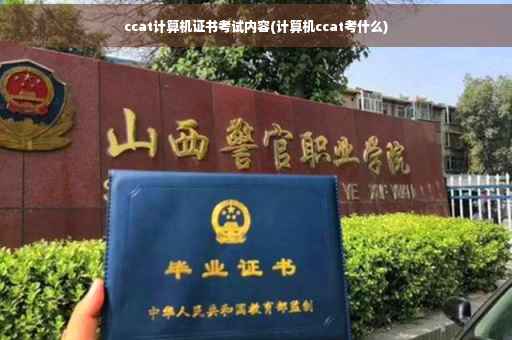 ccat计算机证书考试内容(计算机ccat考什么)