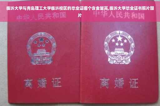 临沂大学与青岛理工大学临沂校区的毕业证哪个含金量高,临沂大学毕业证书照片图片