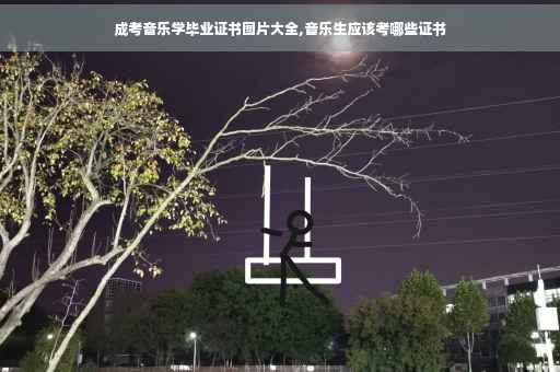 成考音乐学毕业证书图片大全,音乐生应该考哪些证书