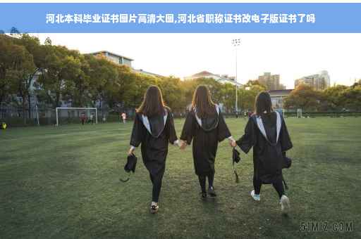 河北本科毕业证书图片高清大图,河北省职称证书改电子版证书了吗