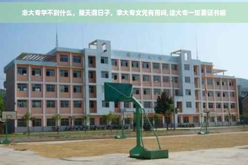 念大专学不到什么，整天混日子，拿大专文凭有用吗,读大专一定要证书嘛