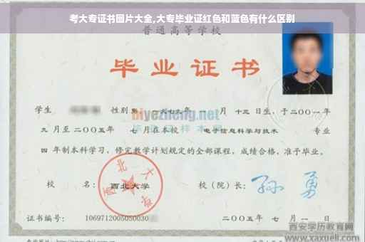 考大专证书图片大全,大专毕业证红色和蓝色有什么区别