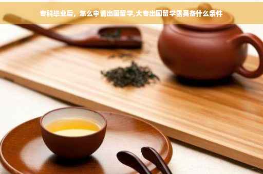 专科毕业后，怎么申请出国留学,大专出国留学需具备什么条件