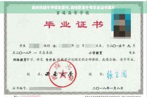 嘉祥祥城中学招生条件,嘉祥职业中专毕业证书图片