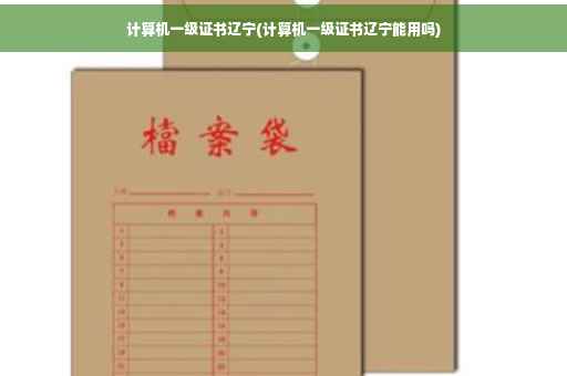 计算机一级证书辽宁(计算机一级证书辽宁能用吗)