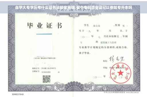 自学大专学历考什么证书比较实用呢,买个专科毕业证可以参加专升本吗