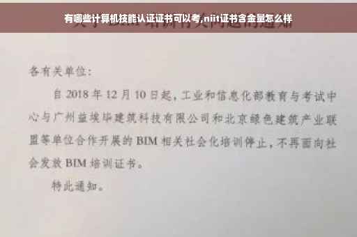 有哪些计算机技能认证证书可以考,niit证书含金量怎么样