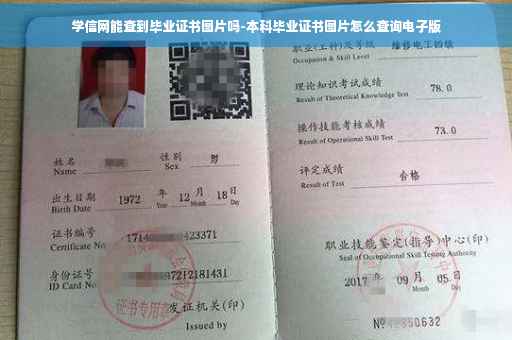学信网能查到毕业证书图片吗-本科毕业证书图片怎么查询电子版