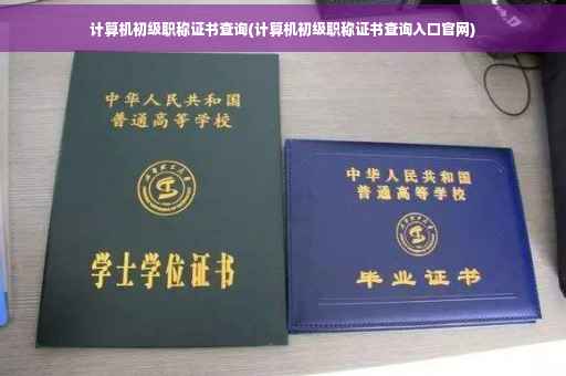 计算机初级职称证书查询(计算机初级职称证书查询入口官网)