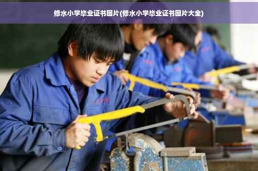 修水小学毕业证书图片(修水小学毕业证书图片大全)
