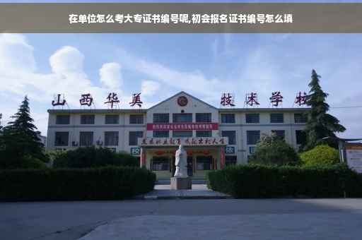 在单位怎么考大专证书编号呢,初会报名证书编号怎么填
