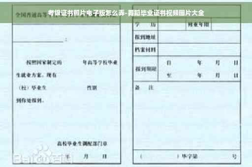 考级证书照片电子版怎么弄-舞蹈毕业证书视频图片大全